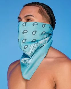 AE Basic Paisley Face Bandanna Mask